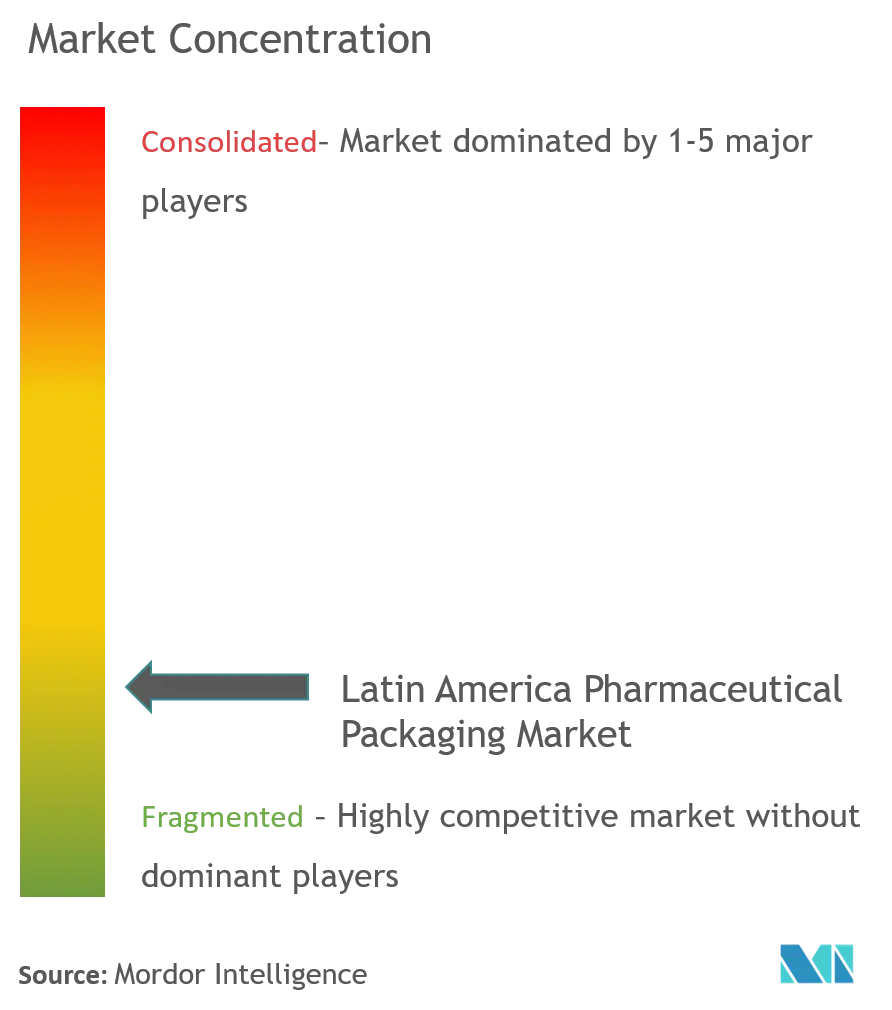 Amcor Limitée, Sealed Air Corporation, Schott AG, Aptar Group Inc., Intrapac Group