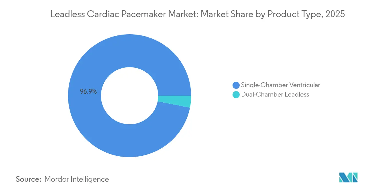 Leadless Cardiac Pacemaker Market: Market Share by Product Type, 2025