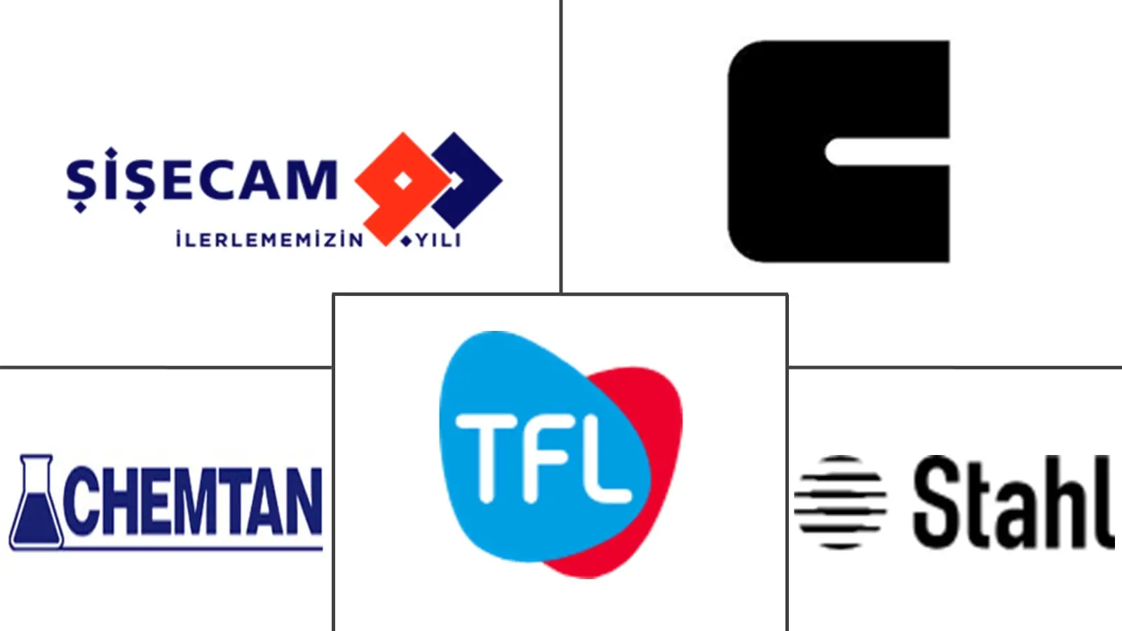 Major players in Leather Chemicals industry