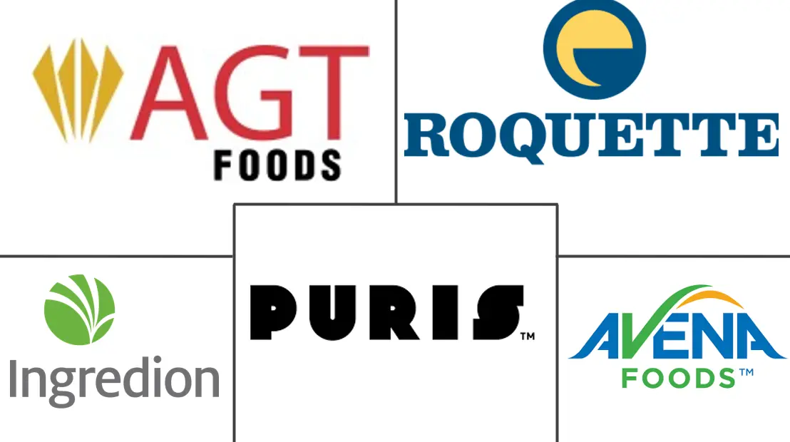 Major players in Lentil Protein industry