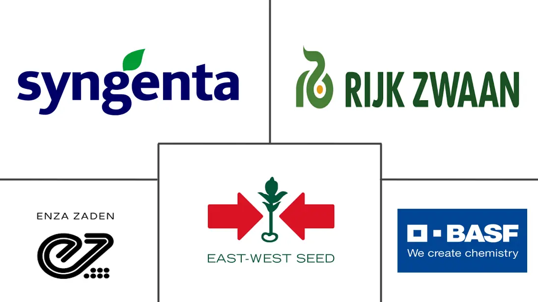 Major players in Lettuce Seeds industry