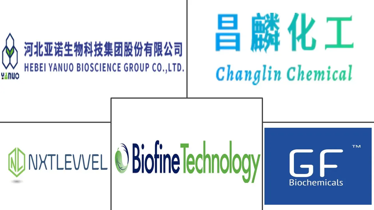 Related Companies Logo