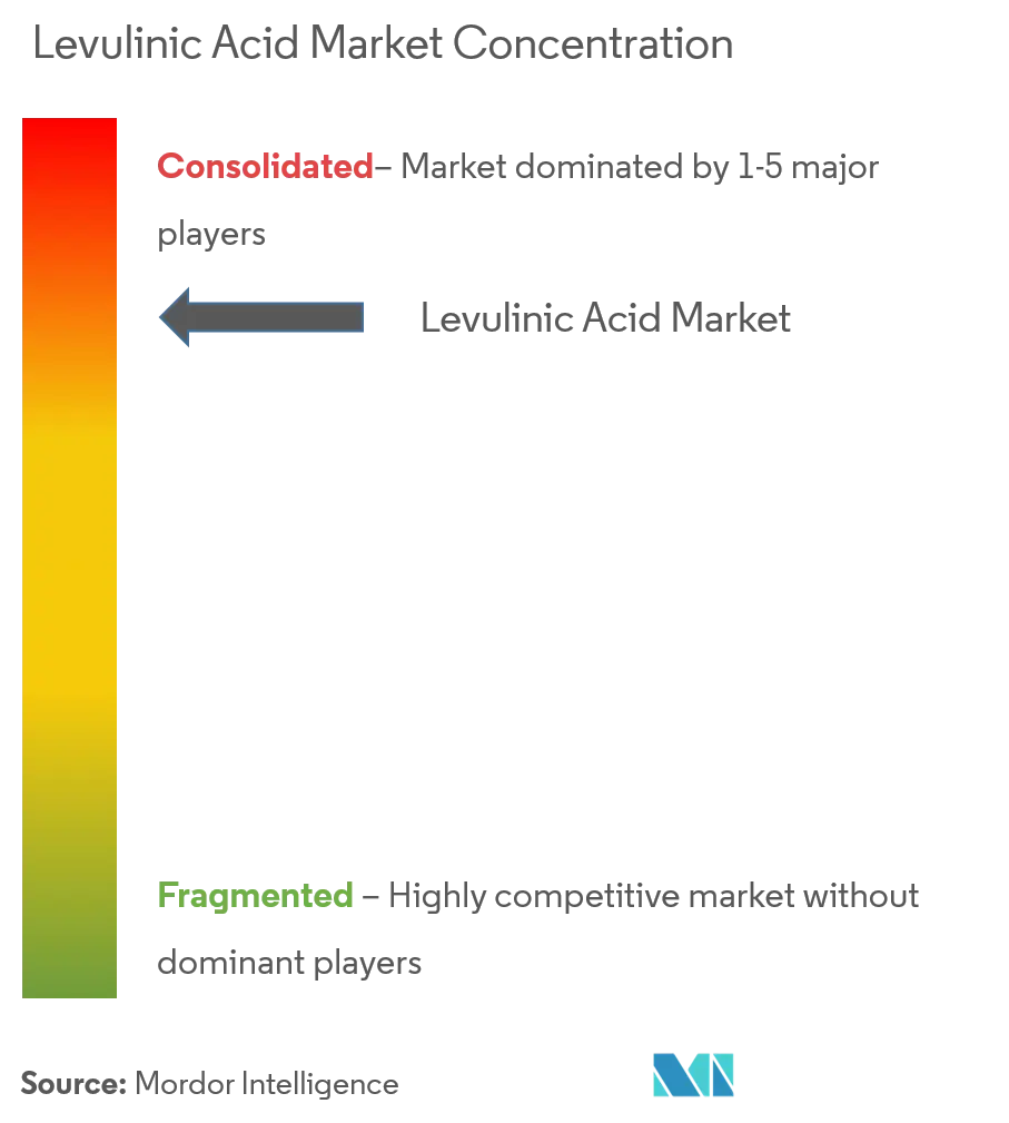 Levulinic Acid Market Analysis