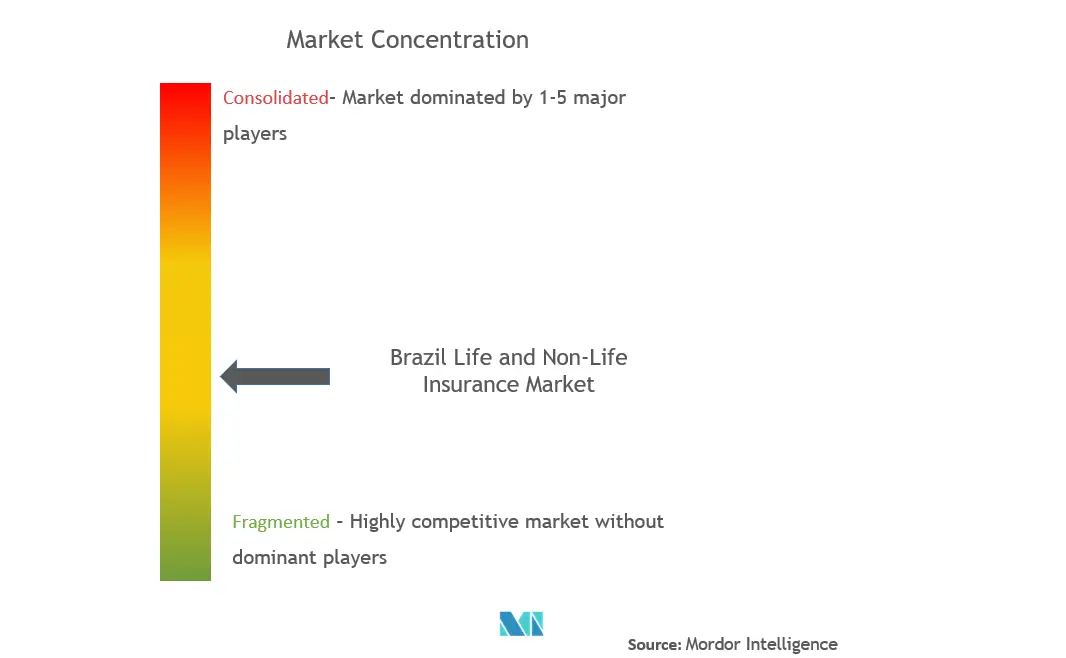 Mercado de seguros de vida y no vida de BrasilConcentración del Mercado