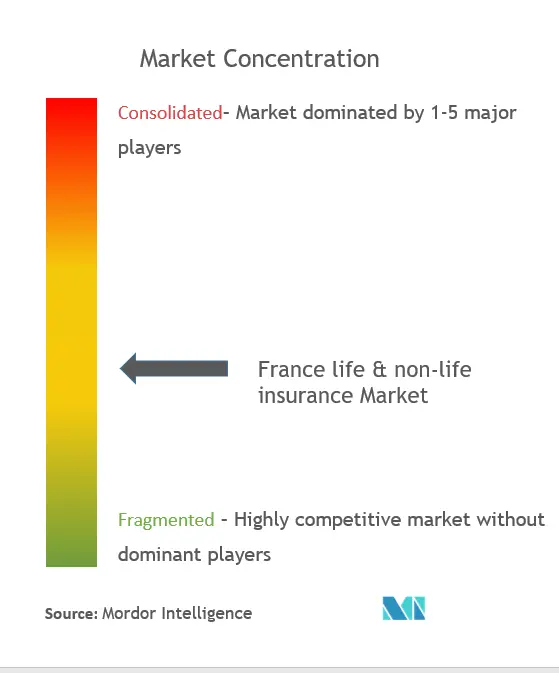 France Life & Non-Life Insurance Market Concentration