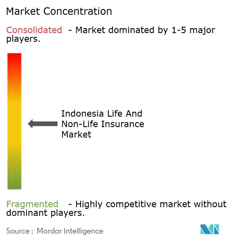 Indonesia Life and Non-Life Insurance Market Concentration