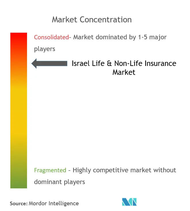 Israel Life & Non-Life Insurance Market Concentration