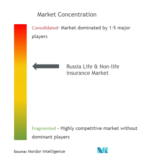 Russia Life & Non-Life Insurance Market Concentration