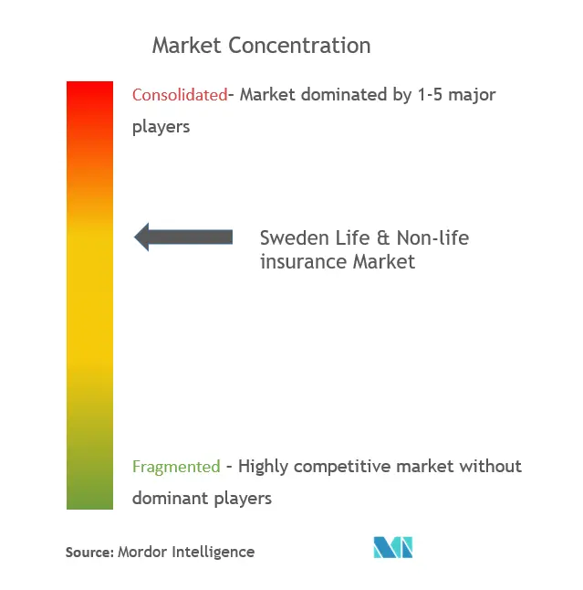 Sweden Life & Non-Life Insurance Market Concentration