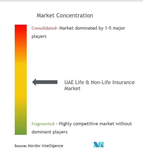 UAE Life & Non-Life Insurance Market Concentration