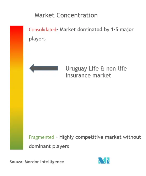 Uruguay Life & non-life market.png