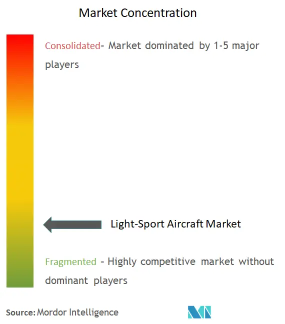 Aviones deportivos ligerosConcentración del Mercado