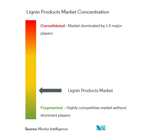 Lignin Products Market Concentration