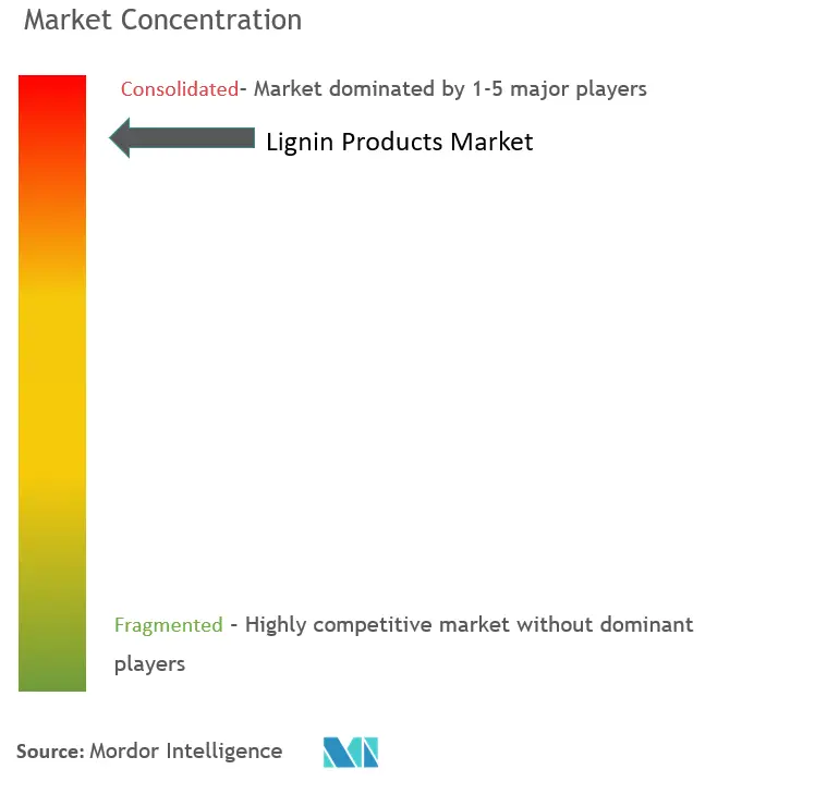 Concentration du marché des produits à base de lignine