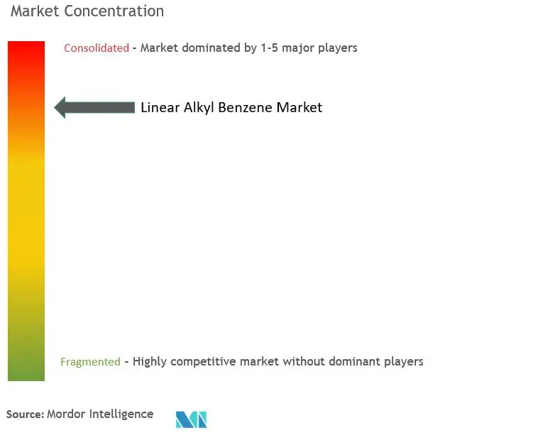Linear Alkyl Benzene Market - Market Concentration.