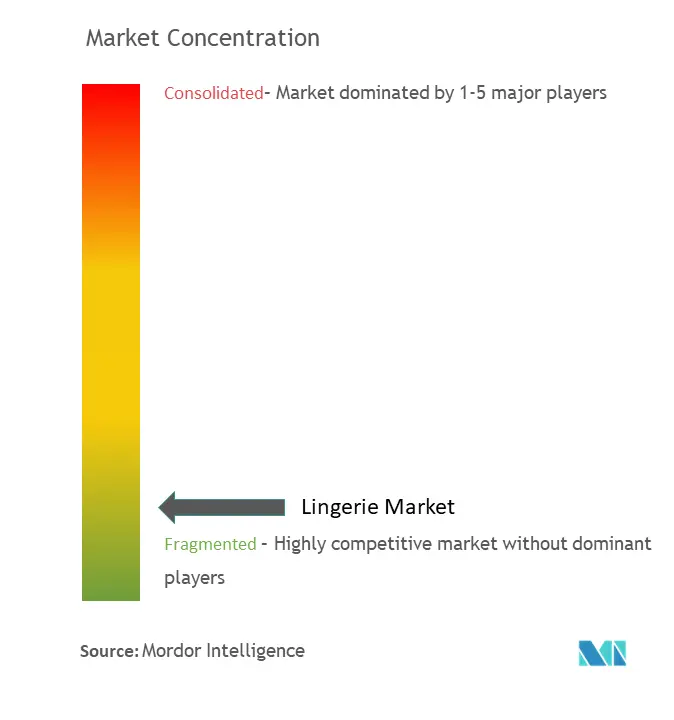 Concentração do mercado de lingerie