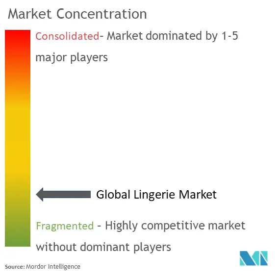 Lingerie Market Concentration