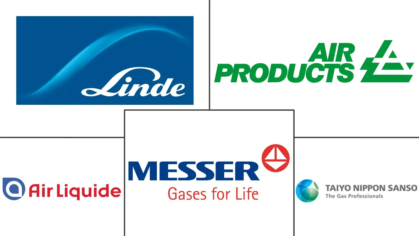 Major players in Liquid Nitrogen industry