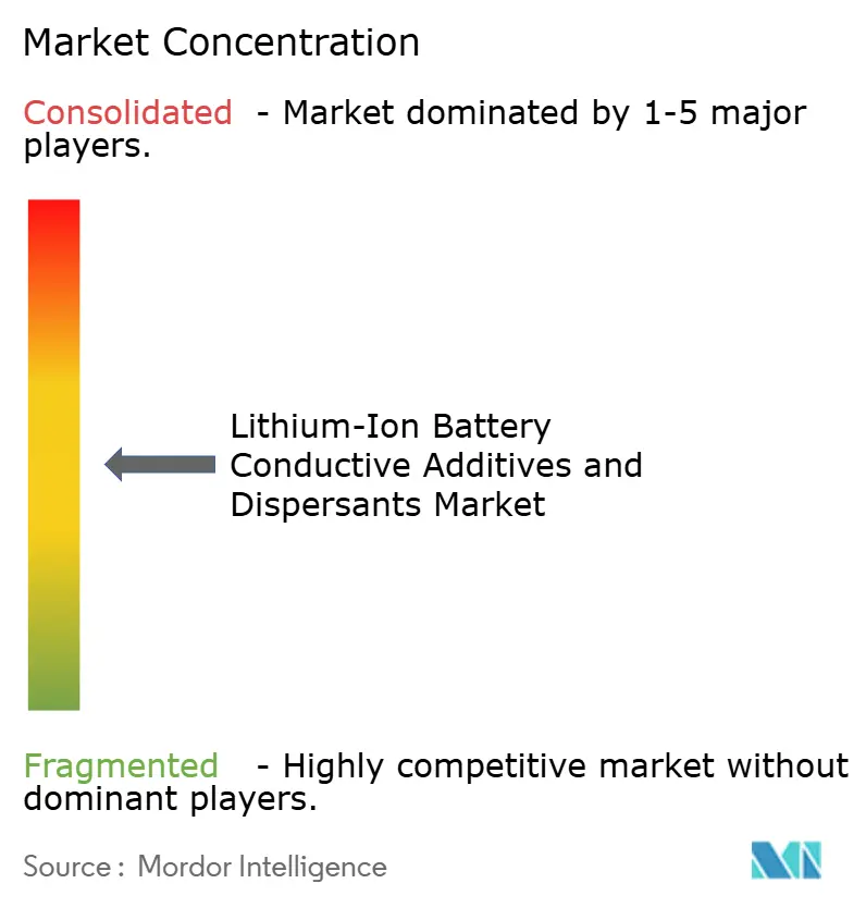 Lithium-Ion Battery Conductive Additives and Dispersants Market Concentration