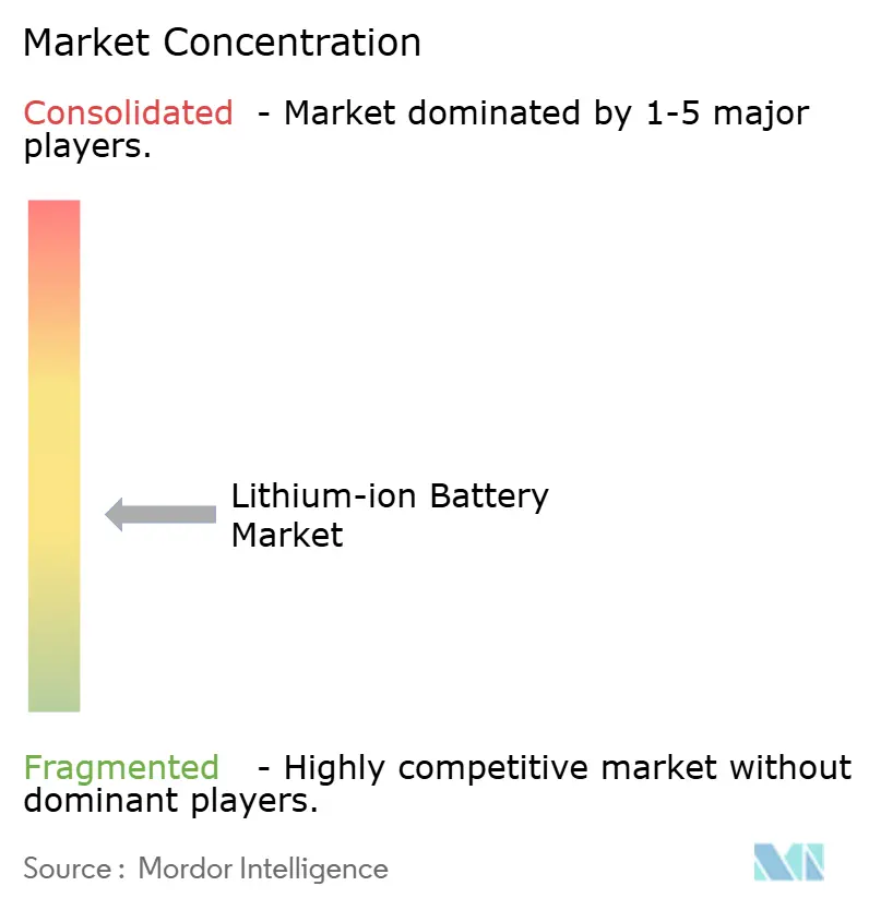 Lithium-ion Battery Market Concentration Lithium-ion Battery Market Concentration