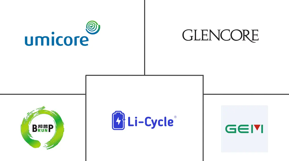 Major players in Lithium-ion Battery Recycling industry