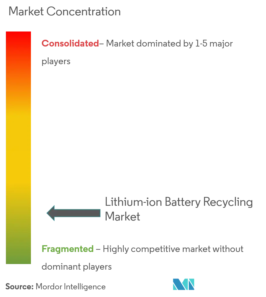 Lithium Ion Battery Recycling Market Concentration