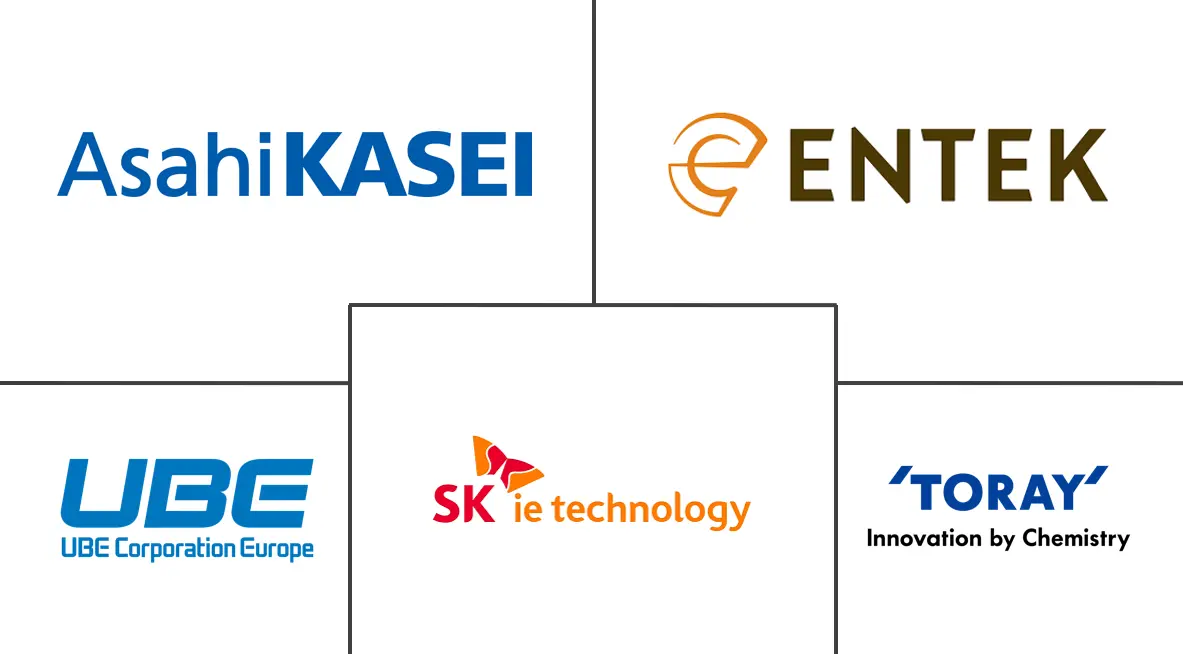 Major players in Lithium-ion Battery Separator industry