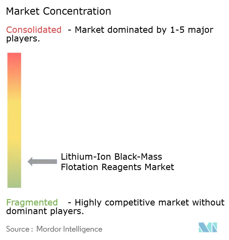 Lithium-Ion Black-Mass Flotation Reagents Market Concentration