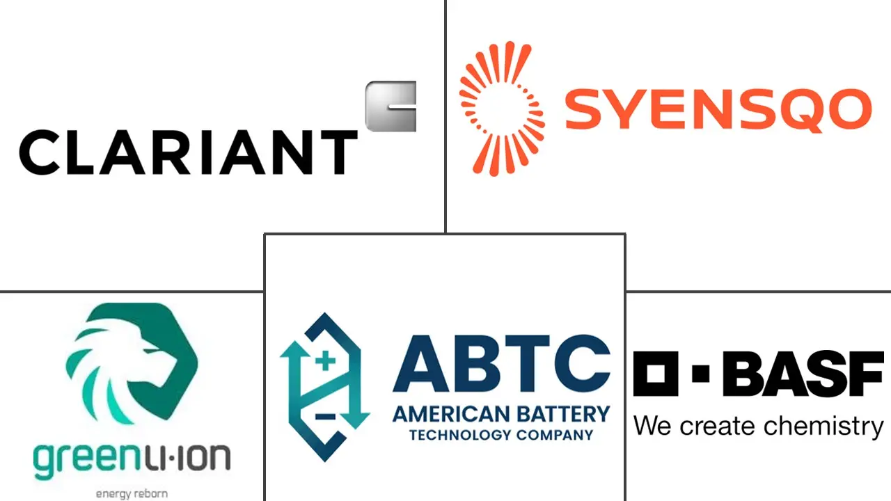 Major players in Lithium-Ion Black-Mass Flotation Reagents industry