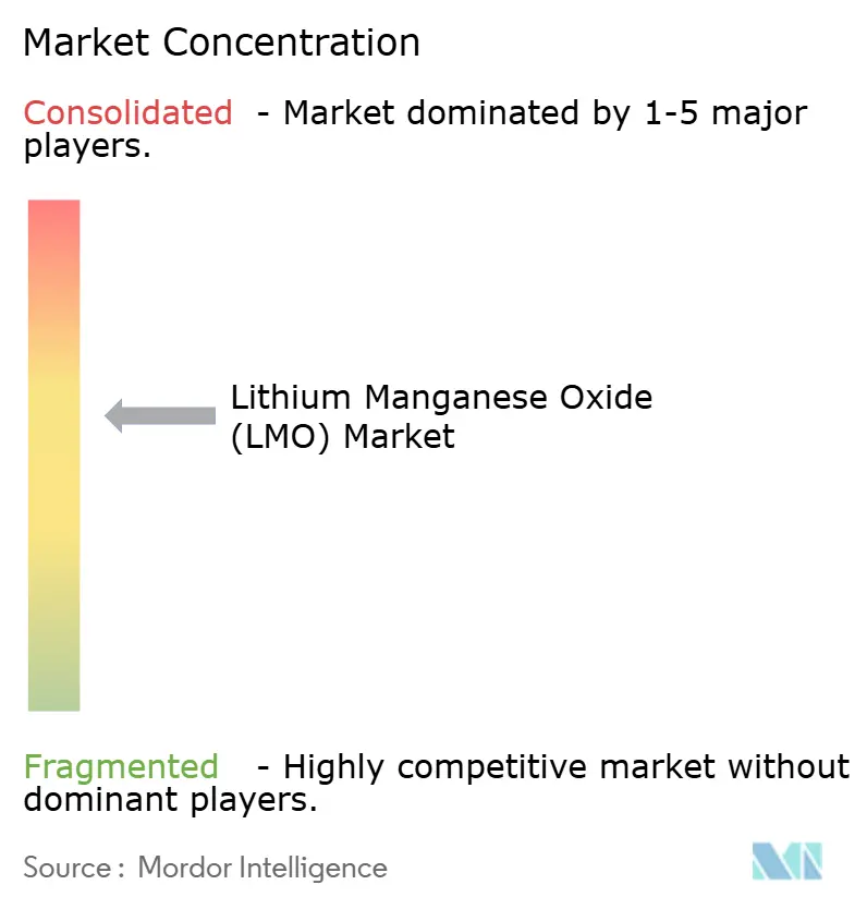 Lithium Manganese Oxide (LMO) Market Concentration