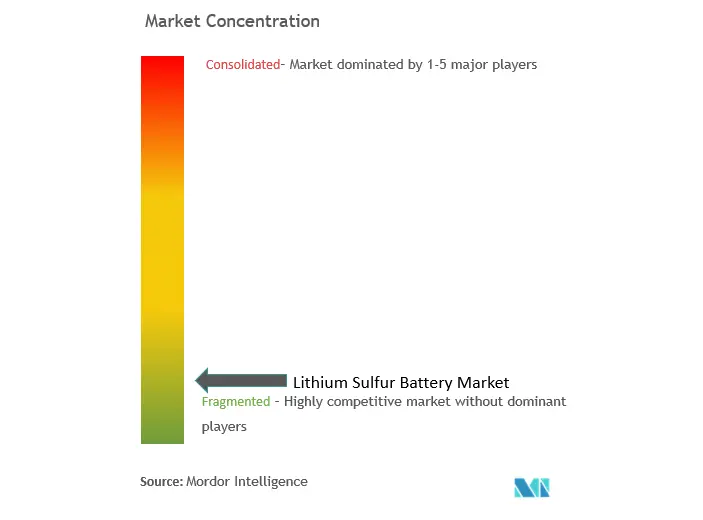 Lithium Sulfur Battery Market Concentration