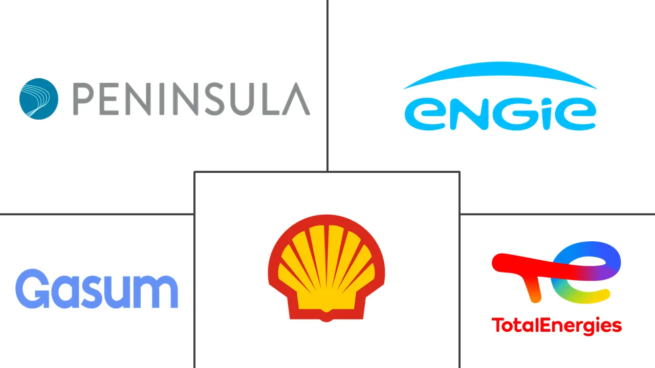 Liquefied Natural Gas (LNG) Bunkering Market Major Players Liquefied Natural Gas (LNG) Bunkering Market Major Players