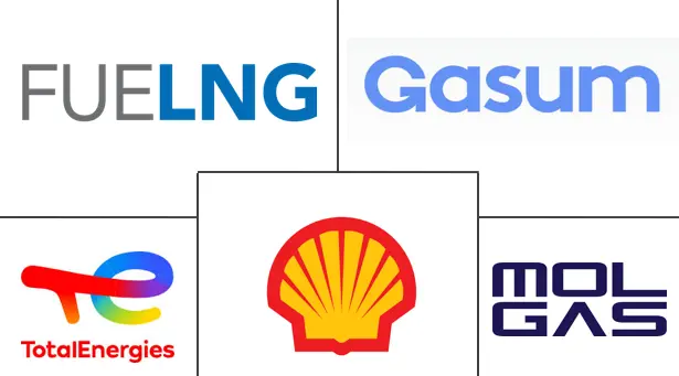 Major players in Liquefied Natural Gas (LNG) Ship-to-Ship Port Bunkering Services industry