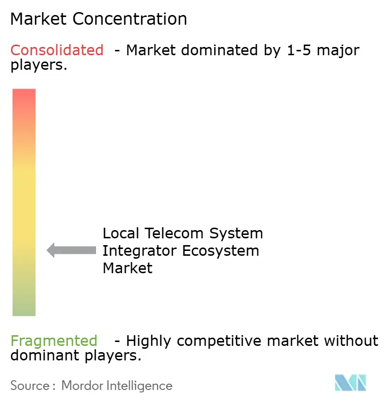 Local Telecom System Integrator Ecosystem Market Concentration
