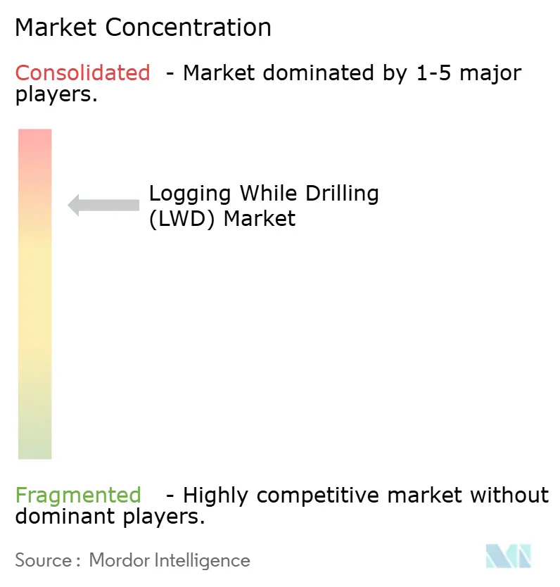 Schlumberger Limited, Halliburton Company, China Oilfield Services Limited, Weatherford International Plc, Baker Hughes Company