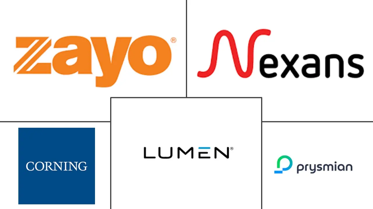 Hauptakteure in Long-Haul- und Metro-Glasfaser-Backbone-Markt Branche