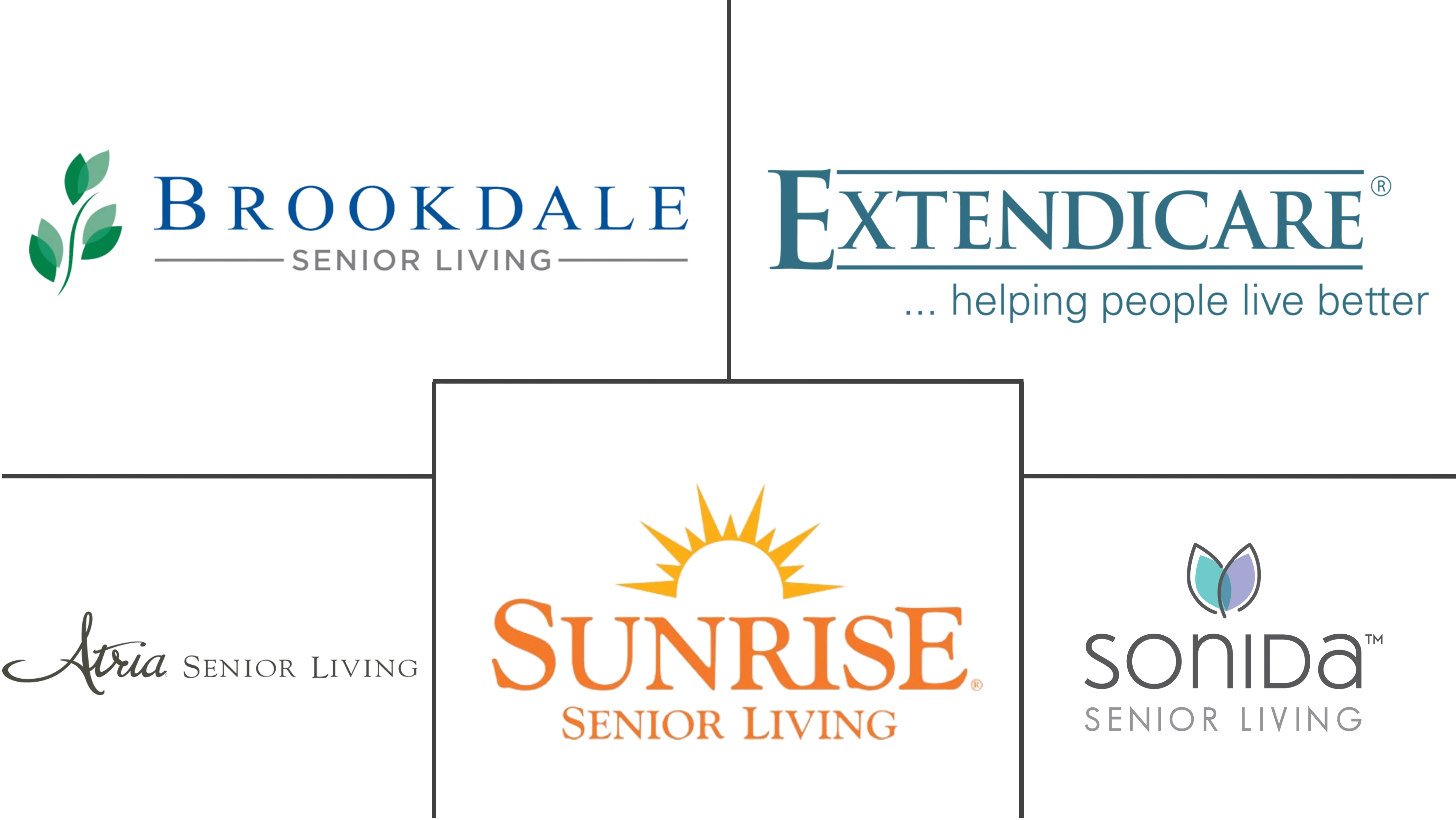 Major players in Long Term Care industry