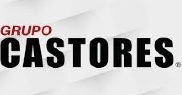  Mercado de Mensajería, Expreso y Paquetería (CEP) de México + '' + Jugadores principales