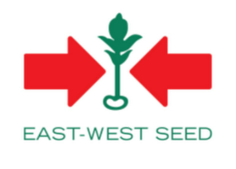 Southeast Asia Vegetable Seed Market Major Players
