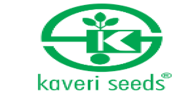  India Rice Seed Market Major Players