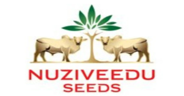  India Maize Seed Market Major Players