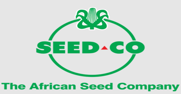  Africa Sorghum Seed Market Major Players