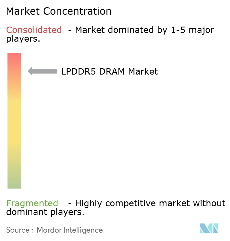 LPDDR5 DRAM Market Concentration