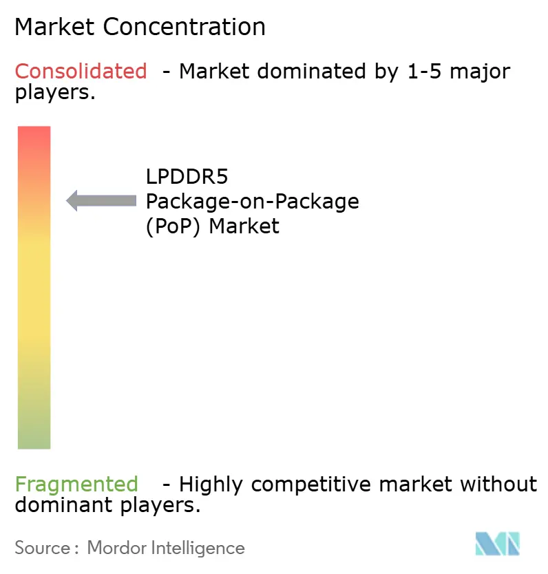 LPDDR5 Package-on-Package (PoP) Market Concentration