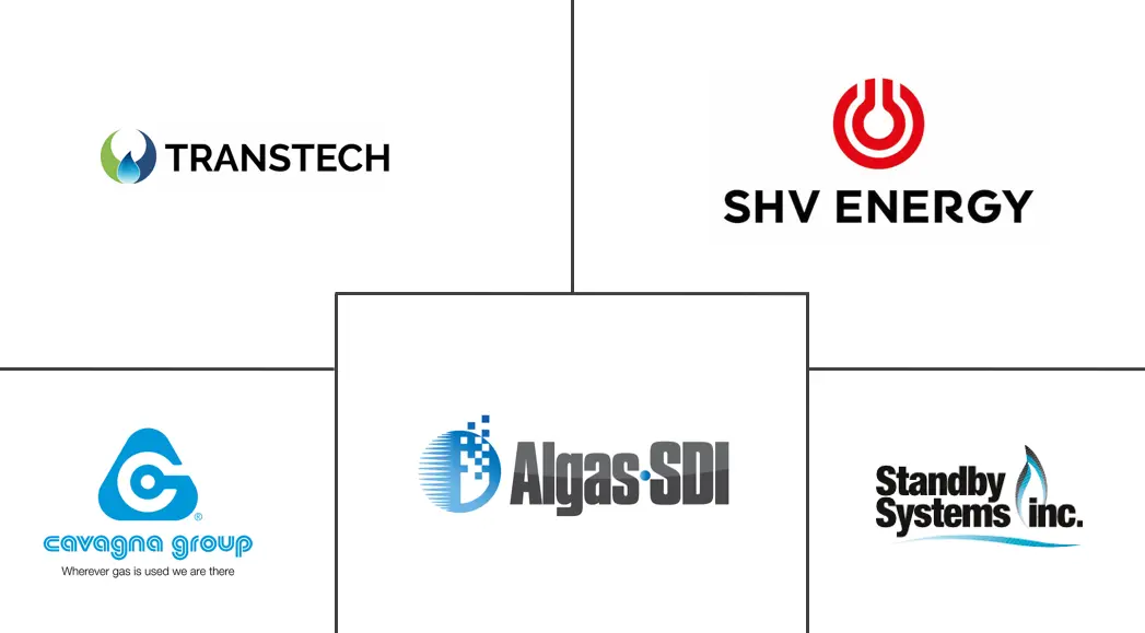 Major players in LPG Vaporizer industry