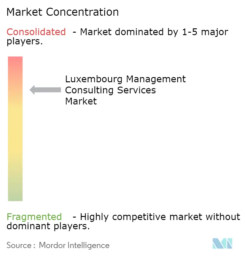 Luxembourg Management Consulting Services Market Concentration