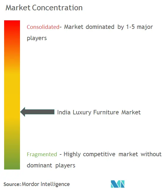 Meubles de luxe en IndeConcentration du marché