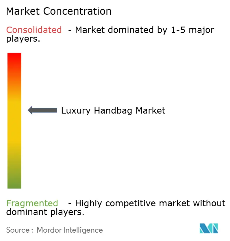 Luxury Handbag Market Concentration