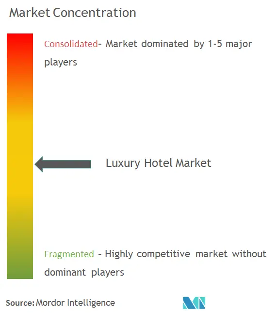 Hotel de lujo globalConcentración del Mercado