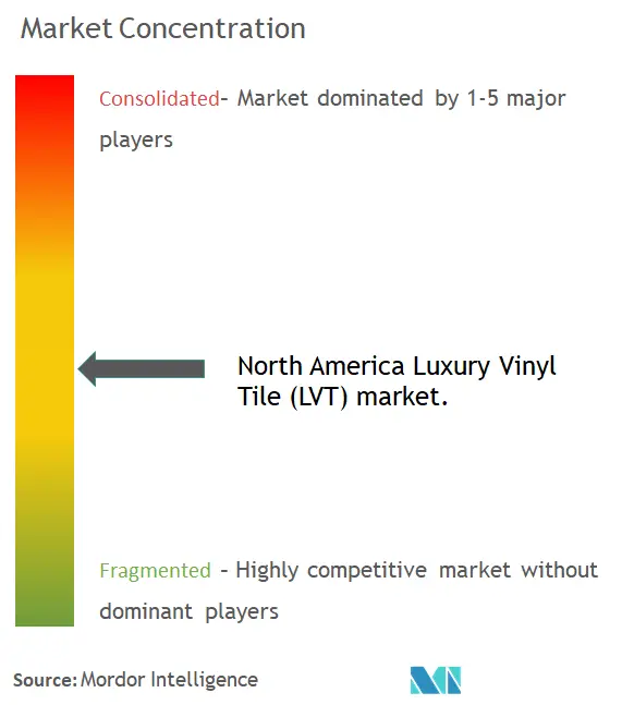 Carreau de vinyle de luxe en Amérique du Nord (LVT)Concentration du marché